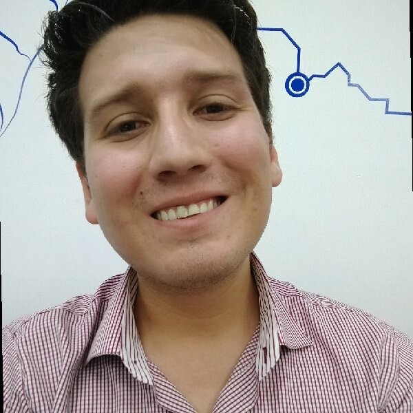 Jorge Saúl Salas Villalobos